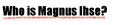 Who is Magnus Ihse?