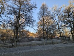 Thumbnail: cold-8C.2025-11-15.c.25k051.073915276.jpg