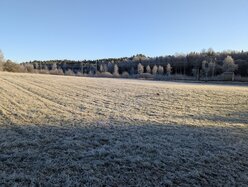 Thumbnail: cold-8C.2025-11-15.c.25k051.075319902.jpg