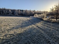 Thumbnail: cold-8C.2025-11-15.c.25k051.075337000.jpg