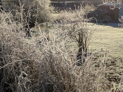 Thumbnail: cold-8C.2025-11-15.c.25k051.081027783.jpg