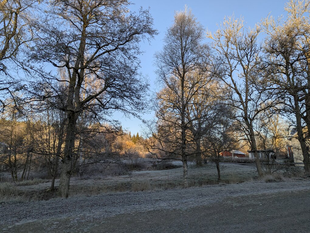 Image: cold-8C.2025-11-15.c.25k051.073915276.jpg