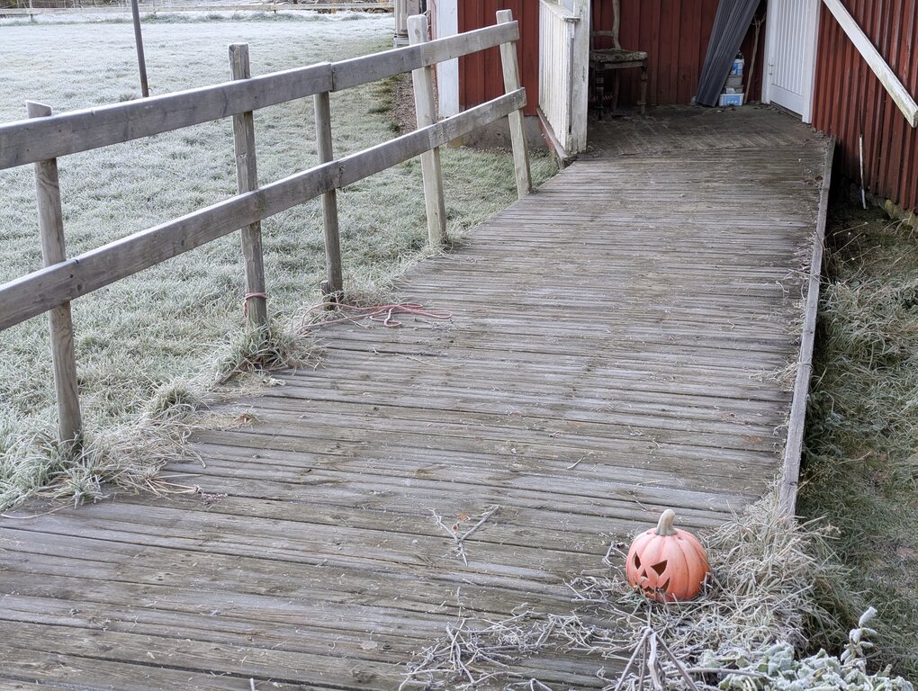 Image: cold-8C.2025-11-15.c.25k051.074007786.jpg