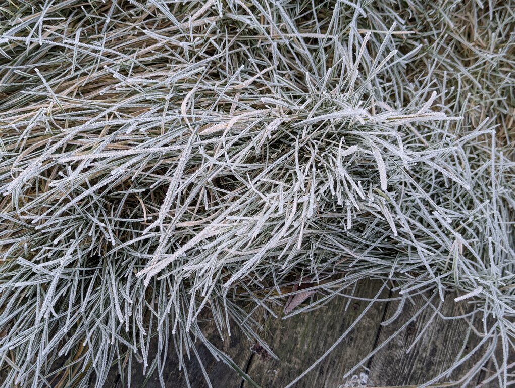 Image: cold-8C.2025-11-15.c.25k051.074043298.jpg