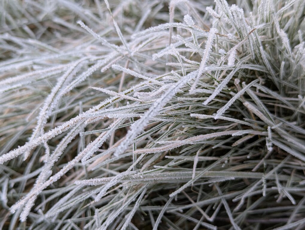 Image: cold-8C.2025-11-15.c.25k051.074052234.jpg