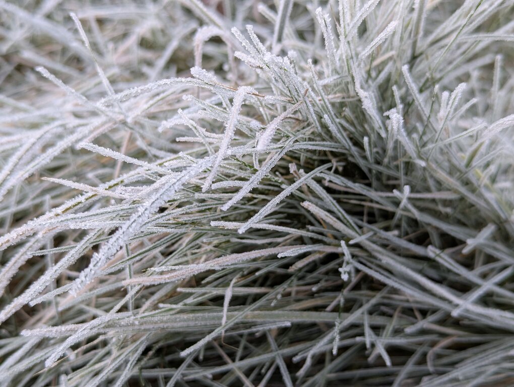 Image: cold-8C.2025-11-15.c.25k051.074055707.jpg