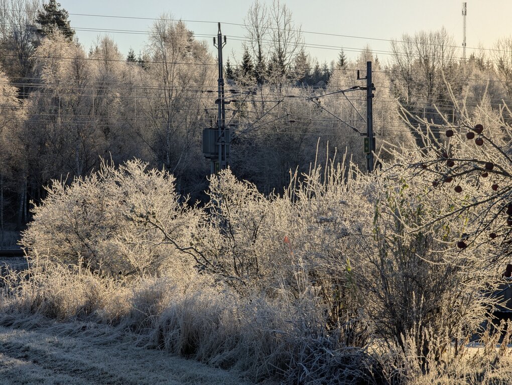 Image: cold-8C.2025-11-15.c.25k051.075347526.jpg