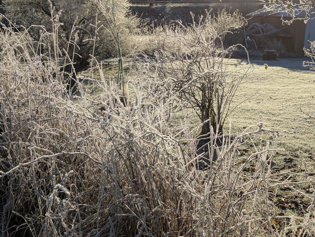 Image: cold-8C.2025-11-15.c.25k051.081027783.jpg