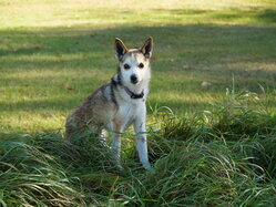 Thumbnail: 07.sigrid.2025-10-19.25k050.2088500.jpg