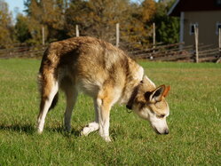 Thumbnail: 12.sigrid.2025-10-19.25k050.2088562.jpg