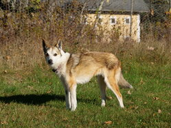 Thumbnail: sigrid.2025-10-19.25k050.2088458.jpg