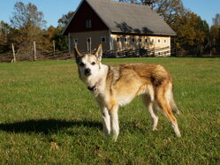 Thumbnail: sigrid.2025-10-19.25k050.2088538.jpg