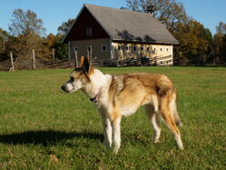 Thumbnail: sigrid.2025-10-19.25k050.2088539.jpg