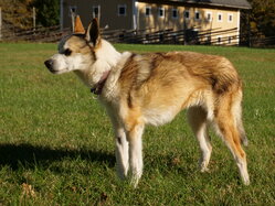 Thumbnail: sigrid.2025-10-19.25k050.2088542.jpg