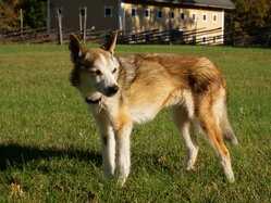 Thumbnail: sigrid.2025-10-19.25k050.2088543.jpg