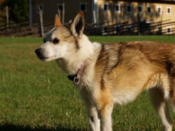 Thumbnail: sigrid.2025-10-19.25k050.2088545.jpg