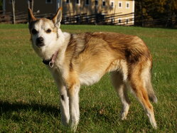 Thumbnail: sigrid.2025-10-19.25k050.2088552.jpg