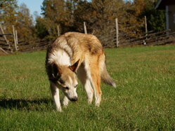 Thumbnail: sigrid.2025-10-19.25k050.2088560.jpg