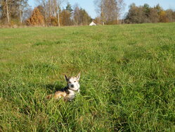 Thumbnail: 04.sigrid-solen.2025-10-20.25k050.sista.2088663.jpg