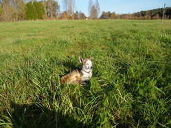 Thumbnail: 05.sigrid-solen.2025-10-20.25k050.sista.2088669.jpg