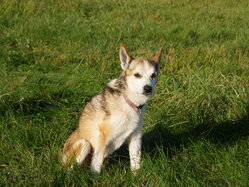 Thumbnail: 07.sigrid-solen.2025-10-20.25k050.sista.2088616.jpg