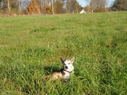 Thumbnail: 12.sigrid-solen.2025-10-20.25k050.sista.2088665.jpg