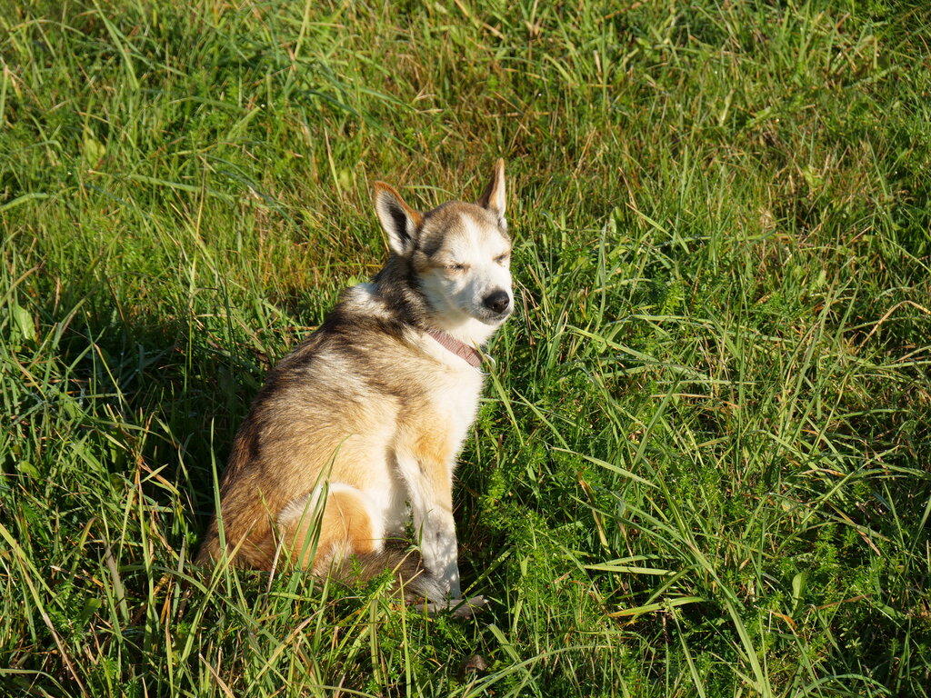 Image: 01.sigrid-solen.2025-10-20.25k050.sista.2088662.jpg