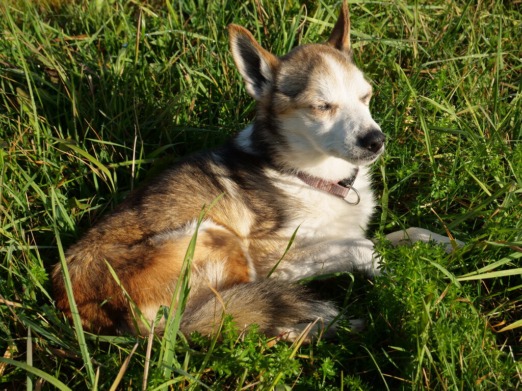 Image: 06.sigrid-solen.2025-10-20.25k050.sista.2088676.jpg