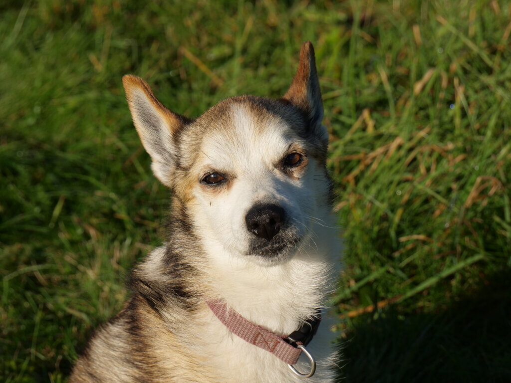 Image: 11.sigrid-solen.2025-10-20.25k050.sista.2088646.jpg