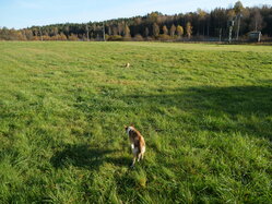 Thumbnail: sigrid-solen.2025-10-20.25k050.sista.2088606.jpg