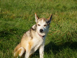 Thumbnail: sigrid-solen.2025-10-20.25k050.sista.2088619.jpg