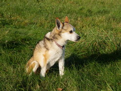 Thumbnail: sigrid-solen.2025-10-20.25k050.sista.2088624.jpg