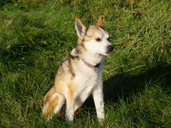 Thumbnail: sigrid-solen.2025-10-20.25k050.sista.2088635.jpg