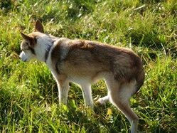 Thumbnail: sigrid-solen.2025-10-20.25k050.sista.2088651.jpg