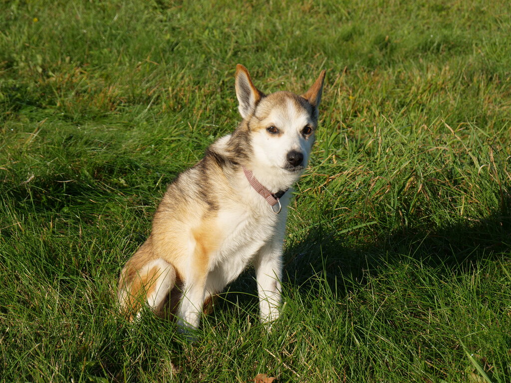 Image: sigrid-solen.2025-10-20.25k050.sista.2088625.jpg