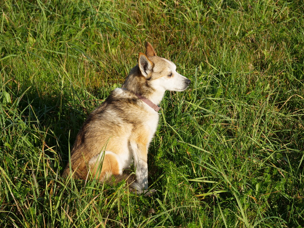 Image: sigrid-solen.2025-10-20.25k050.sista.2088658.jpg