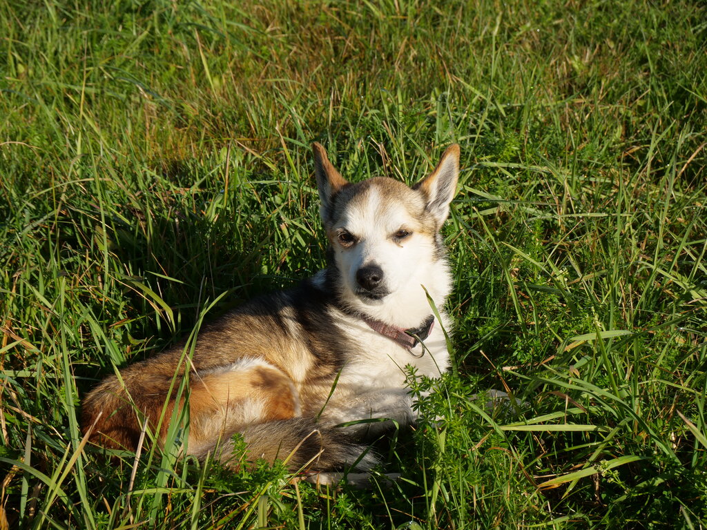 Image: sigrid-solen.2025-10-20.25k050.sista.2088673.jpg