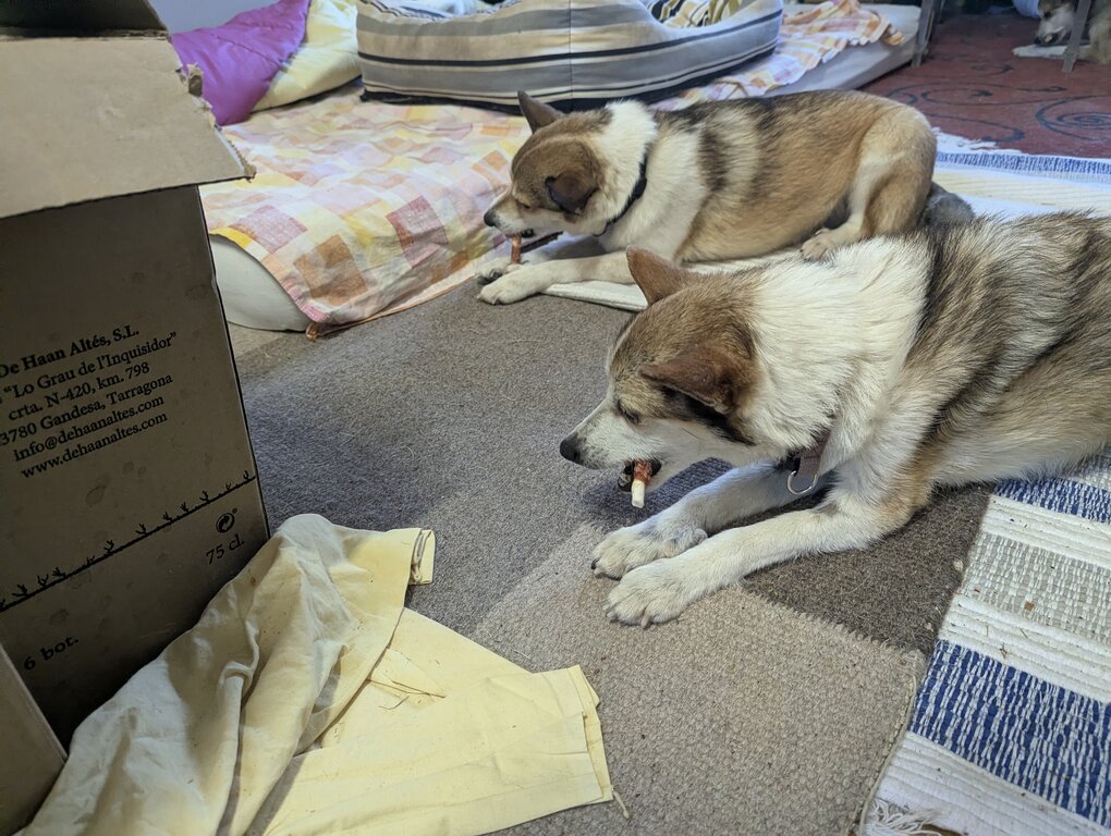 Image: tuggpinne.2025-10-19.25k050.131516584.jpg