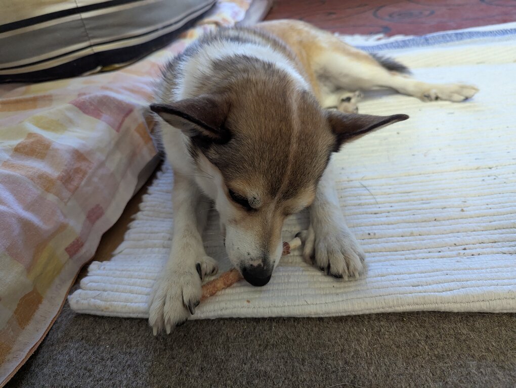 Image: tuggpinne.2025-10-19.25k050.131815729.jpg