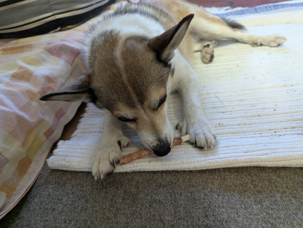 Image: tuggpinne.2025-10-19.25k050.131817318.jpg