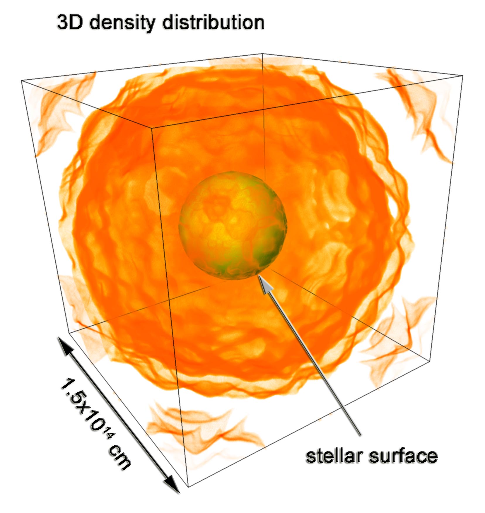 3D Density Distribution