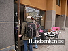 Himmelska Hundar