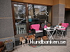 Himmelska Hundar